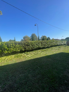 Photo de galerie - Jardinier