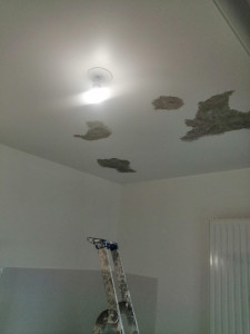 Photo de galerie - Peinture / Enduit