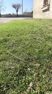 Photo de galerie - Toujours au cœur de la nature 