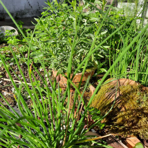 Photo de galerie - Bricolage et multi services