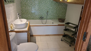 Photo de galerie - Entretien habituel d une salle de bain 