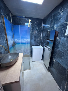 Photo de galerie - Passage de baignoire à douche; avec modulation complète de toute la SDB 