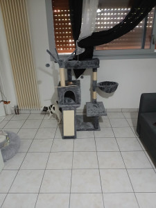 Photo de galerie - Maison pour ? 