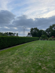 Photo de galerie - Taille de haie