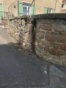 Photo de galerie - Tonte de pelouse - Débroussaillage