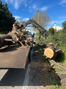 Photo de galerie - Des soulage devis gratuit