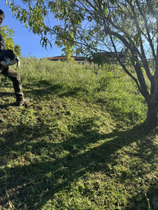 Photo de galerie - Tonte,débroussaillage