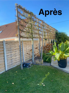 Photo de galerie - Paysagiste - Aménagement du jardin