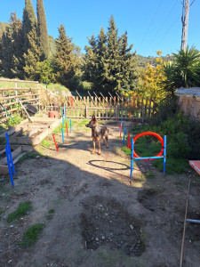 Photo de galerie - Séances de travail