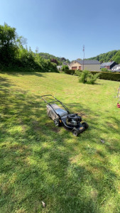 Photo de galerie - Tonte d’une pelouse 