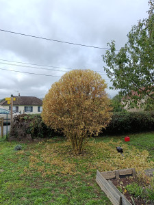 Photo de galerie - . 