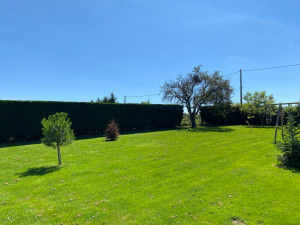 Photo de galerie - Réalisation d’une taille de haie cyprès 