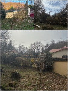 Photo de galerie - Taille avant/apres 