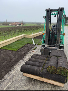 Photo de galerie - Gazon