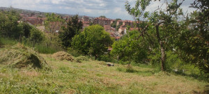 Photo de galerie - Débroussaillage 