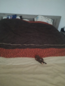 Photo de galerie - Après 