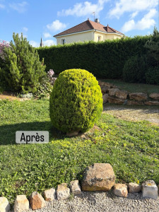 Photo de galerie - Taille de haies et d'arbustes