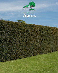 Photo de galerie - Taille de Haie 