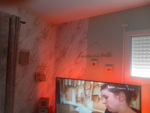 Photo de galerie - Peinture et tapisserie 