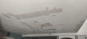 Photo de galerie - Peinture - Tapisserie