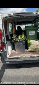 Photo de galerie - Tonte de pelouse - Débroussaillage