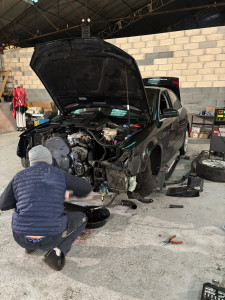 Photo de galerie - Distribution 