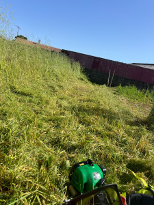 Photo de galerie - Débroussaillage de hautes herbes ?