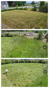 Photo de galerie - Tonte de pelouse - Débroussaillage