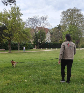 Photo de galerie - Promenade de chien