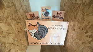 Photo de galerie - Notre logo