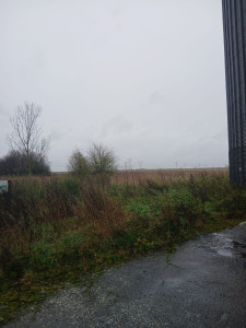 Photo de galerie - Tonte de pelouse - Débroussaillage