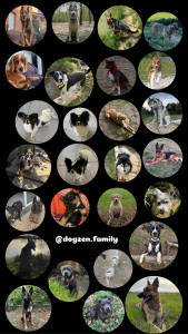 Photo de galerie - Tout les bébés ??