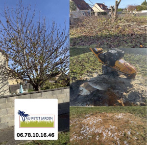 Photo de galerie - Abattage d’un cerisier+ rognage 