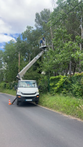 Photo de galerie - Elagage et coupe d'arbres