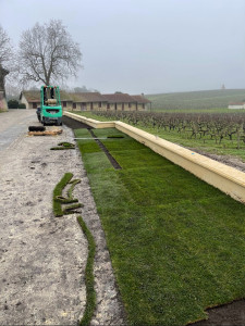 Photo de galerie - Gazon