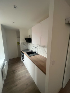 Photo de galerie - Parquet, placo, plomberie et cuisine 