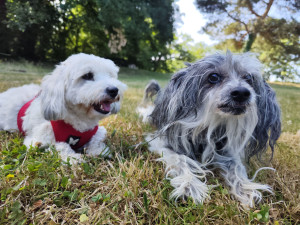 Photo de galerie - Kunio et Nessy