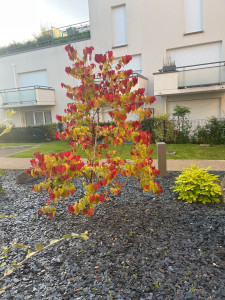 Photo de galerie - Je cherche le travail chez particulier 