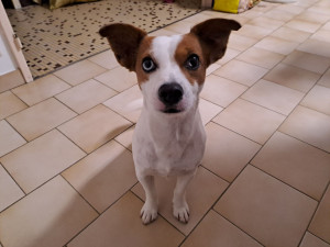 Photo de galerie - Truffiot 