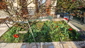 Photo de galerie - Avant