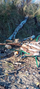 Photo de galerie - Démontage d un arbre tombé à cause du vent. 