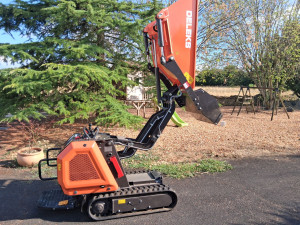 Photo de galerie - Dumper