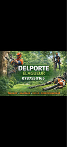 Photo de galerie - P