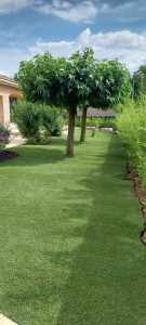 Photo de galerie - Gazon synthétique après balayage