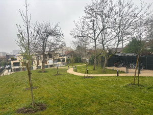 Photo de galerie - Tonte 