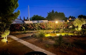 Photo de galerie - Paysagiste - Aménagement du jardin