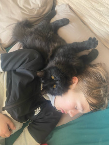 Photo de galerie -  câlin 