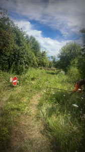 Photo de galerie - Avant 