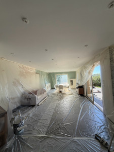 Photo de galerie - Plafond de 50 m² du salon, cuisine, peintures uniquement plafond blanc