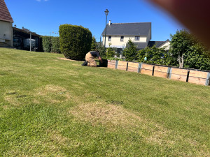 Photo de galerie - Entretien jardin et peinture jardinière 